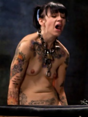 Day 5 sparky and muscles